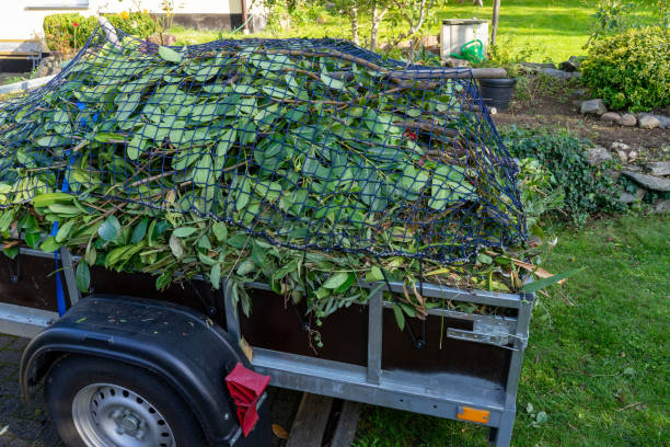 Best Commercial Junk Removal  in Seymour, IN